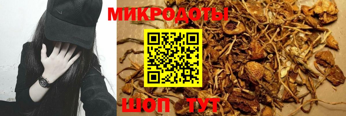 Галлюциногенные грибы GOLDEN TEACHER  купить  цена  Краснознаменск  Вход с VPN 